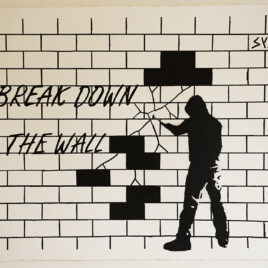 BREAK DOWN THE WALL